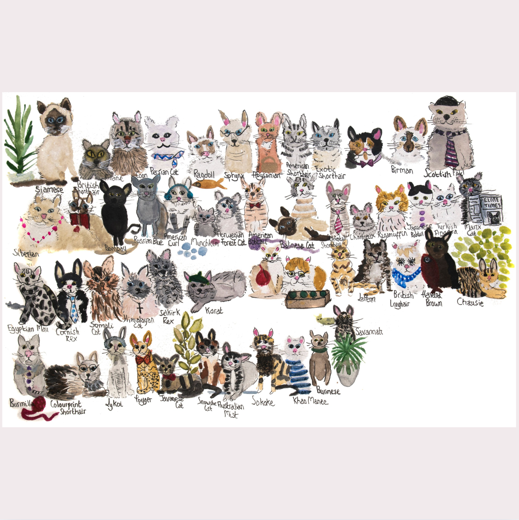 Cats, Cats, Cats Art Print