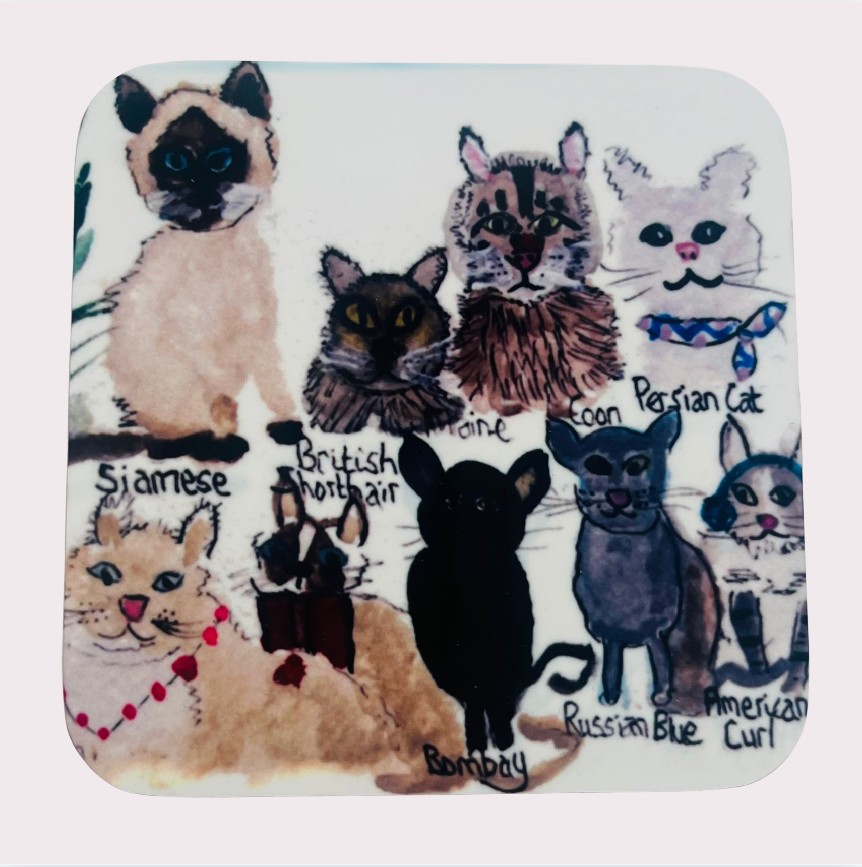 Coasters
